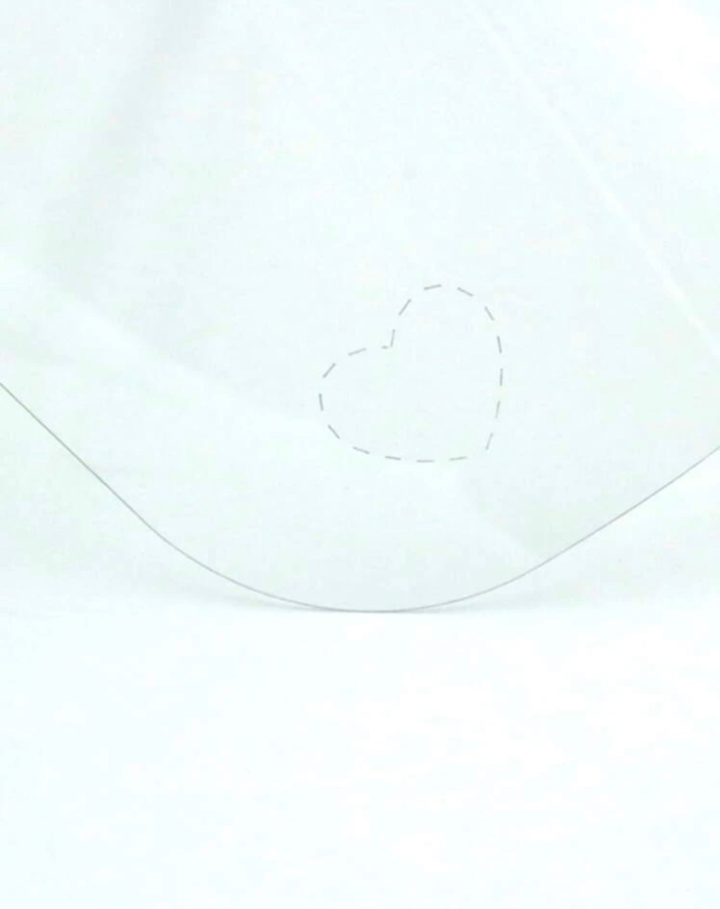 Quarantine Clear Face Shield